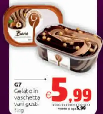 G7 Gelato In Vaschetta Vari gusti 1 kg