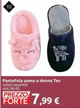 Carrefour Market Pantofola uomo o donna tex offerta