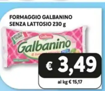 Formaggio Galbanino Senza Lattosio 230 g
