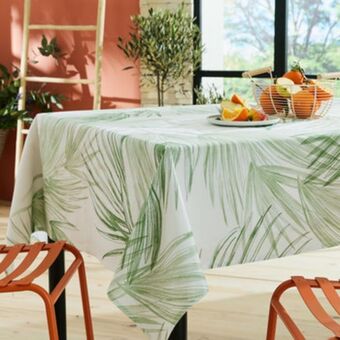 Spartoo Oasis offerta