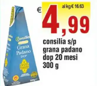 Consilia S/p Grana Padano DOP 20 mesi 300g