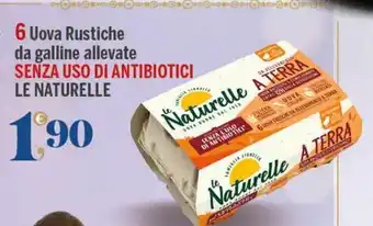 Supermercati Dok Uova le naturelle offerta