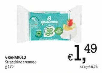 A&O Granarolo Stracchino Cremoso g 170 offerta