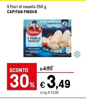 Iper La Grande Findus Findus - 5 Fiori di Nasello 250 g(ml) offerta