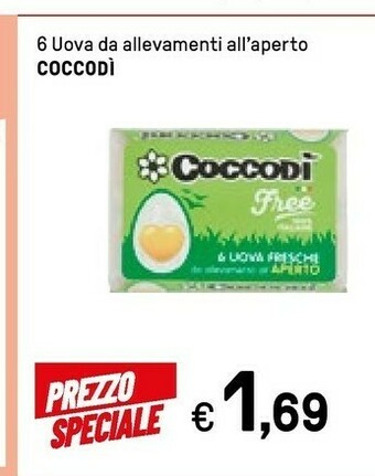Iper La Grande Coccodì 6 Uova Da Allevamenti All'aperto offerta