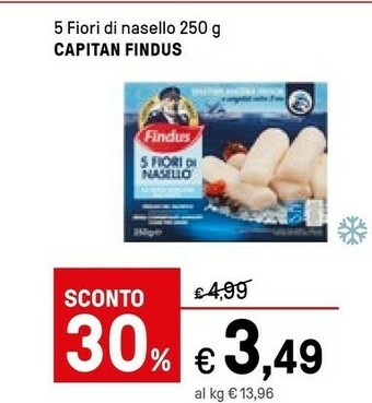 Iper La Grande Findus 5 Fiori Di Nasello offerta