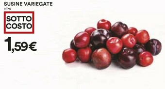 Coop Coop Susine Variegate offerta