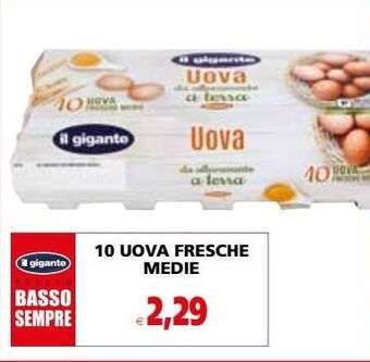 Il Gigante 10 uova fresche medie offerta