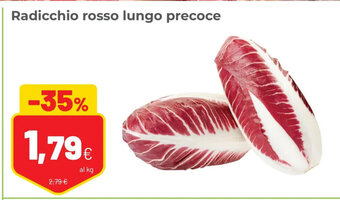 Coop Radicchio rosso lungo precoce offerta