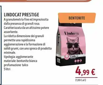 Lindocat prestige