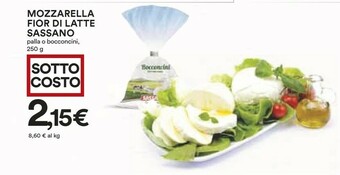 Coop Sassano Mozzarella Fior Di Latte offerta