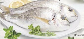 Coop Cromaris Orata offerta