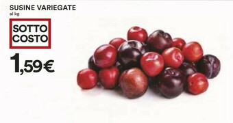 Coop Susine Variegate offerta