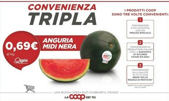 Coop Coop - Anguria Midi Nera offerta