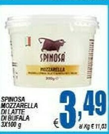 DEM Spinosa Mozzarella Di Latte Di Bufala 100g offerta