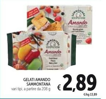 Conad Sammontana Amando Biscotto Gelato Con Frutti Di Bosco 208 G(ml) offerta