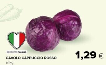 Tigre Cavolo Cappuccio Rosso offerta