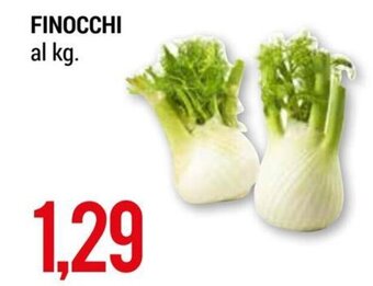 Hardis Finocchi offerta