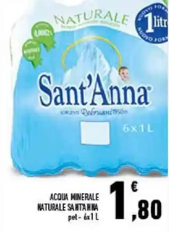 Conad City Sant"Anna Acqua Minerale Naturale Pet - 6 x 1 l offerta