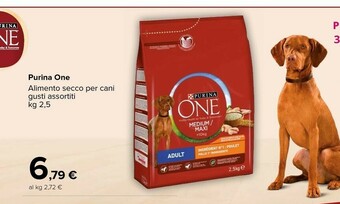 Carrefour Market Purina One Alimento Secco Per Cani offerta