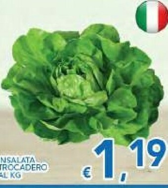 Vivo Supermercati Insalata Trocadero offerta