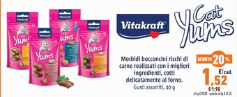 Conad Vitakraft Cat Yums 48 G offerta