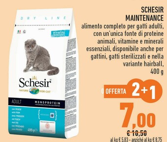 Conad Schesir Maintenance offerta
