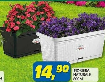 Risparmio Casa Fioriera Naturale offerta