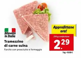 Lidl Tramezzino di carne suina \\ offerta