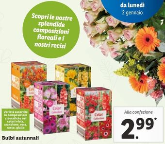 Bulbi autunnali