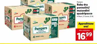 Lidl Baby dry  pannolini /  mutandini  quadripacco offerta