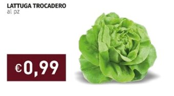 Prezzemolo e Vitale Lattuga Trocadero offerta