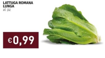 Prezzemolo e Vitale Lattuga Romana Lunga offerta