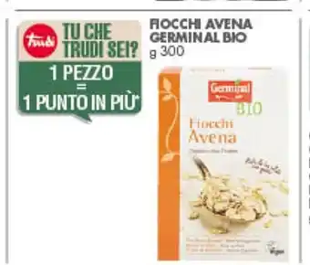 Fiocchi Avena Germin Al Bio 300 g