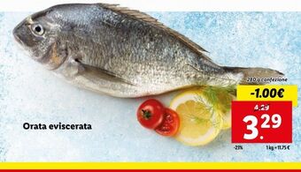 Lidl Orata eviscerata offerta