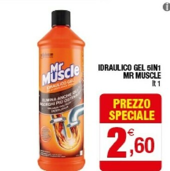 Iperal Mr muscle Idraulico Gel 5 In 1 offerta