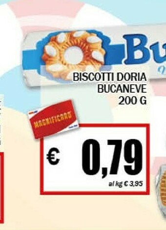 Doria Bucaneve