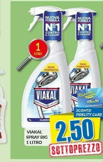 Risparmio Casa Viakal Spray Big offerta