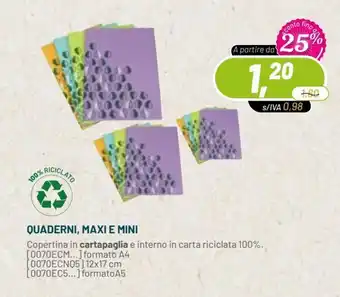 Quaderni, Maxi e Mini