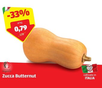 ALDI Zucca Butternut offerta