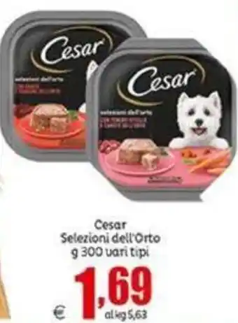 Elite Cesar Selezioni dell'Orto g 300 Vari Tipi offerta