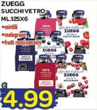 Zuegg Succhi Vetro 125 ml. x6