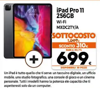 Parente Expert iPad Pro 11 256GB offerta