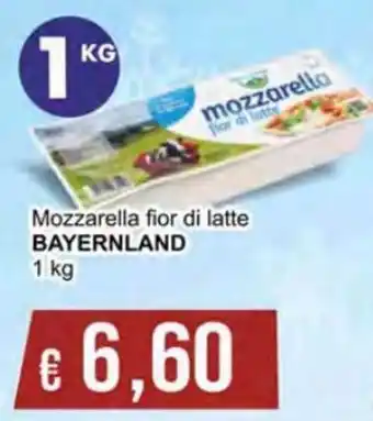 Bayernland Mozzarella fior di latte 1 kg