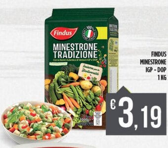 Euroesse Findus Minestrone IGP DOP 1 kg offerta