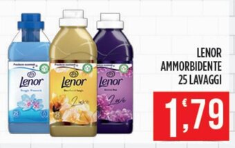 Euroesse Lenor Ammorbidente 25 Lavaggi offerta