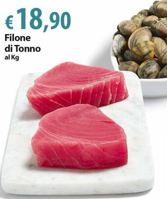 Extra Supermercati Filone di Tonno al Kg offerta