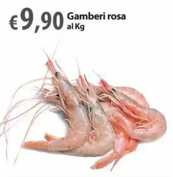 Gamberi rosa al Kg