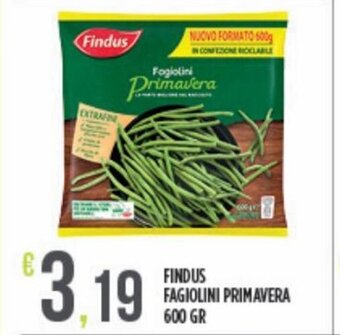 Euroesse Findus Fagiolini Primavera 600 Gr offerta