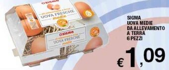 Sigma Sigma Uova Medie da Allevamento a terra 6 pezzi offerta